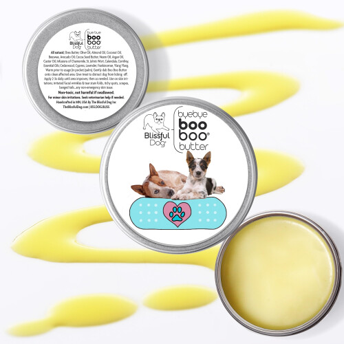 Il beapposo cane blu blu boo burro 4 oz 1