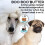 Il cane beato samoyed boo burro 1 oz 4