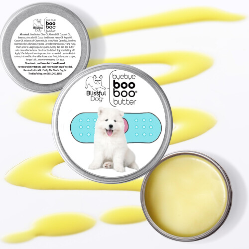 Il cane beato samoyed boo burro 1 oz 1
