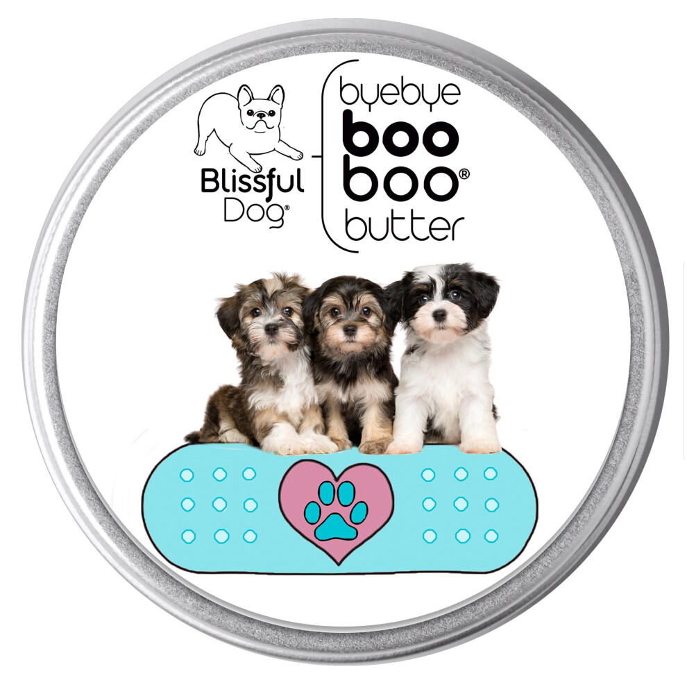 Bla En Pes The Blissful Dog Havanese Boo Boo Butter 2-Ounce