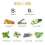 Biotin Shampoo, Botanische Mischung 2