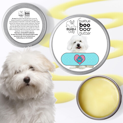 Coton De Tulear Boo Boo Butter 4 oz 1