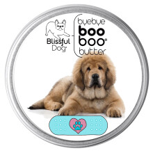 Tibetan Mastiff Boo Boo Butter 8 Unzen