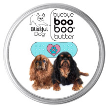 Englischer Toy Spaniel Boo Boo Butter 4 Unzen
