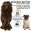 Engelsk Cocker Spaniel Boo Boo Sm?r 2-ounce 5
