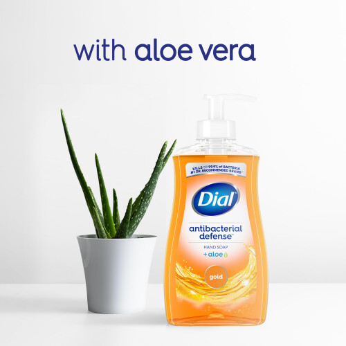 Dial Antibakterielle Fl  ssigseife Gold, 11 fl oz (4er-Pack) 2