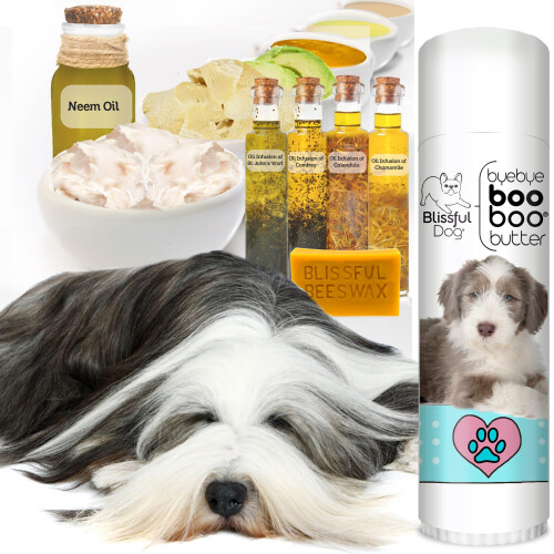 Blaen mslo Bearded Collie Boo Boo 0,50 unce 1