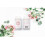 Deodorant ohne Natron, Marokkanische Rose 3