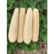 YEMTAL Natural luffa szivacsok Organic Luffa frdo zuhanyszivacs hmlaszt test htradr frfiaknak nok felnotteknek SPA szpsg frdo napi pols -