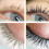 Black Lash 2