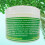 Mine Botanicals Moringa e semi nero Burro di karit 3