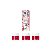 Lip Sleeping Mask Granatapfel 5g (3er Set) - Koreanische Sch  nheit f  r die Lippen den ganzen Tag Lipgloss