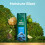 Irish Spring Moisture Blast testmos frfiaknak 20 Fl Oz (2 db-os csomag) 3