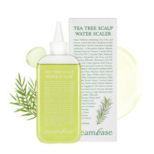 STEAMBASE Tea Tree hoofdhuidbehandeling | Zuivert en exfolieert de vette hoofdhuid | Natuurlijke BHA & Tea Tree | Verwijdert geur en opbouw | Hypoall
