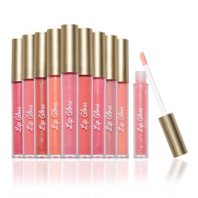 Beauty Concepts Lipglosscollectie - 10-delige lipglossset in roze en neutrale kleuren - Wordt geleverd in doos