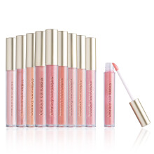 Beauty Concepts Lipglosscollectie - 10-delige lipglossset in roze kleuren - wordt geleverd in doos