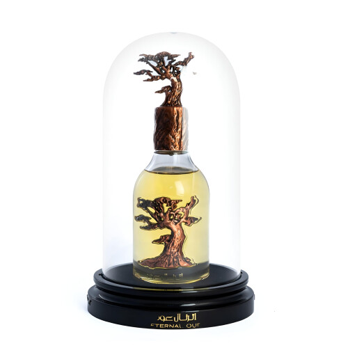 LATTAFA Lattafa Pride Eternal Oud til Unisex Eau de Parfum Spray 3,4 Ounce 2