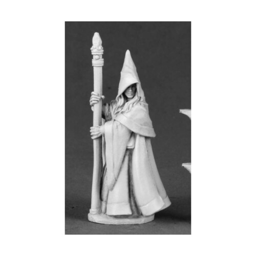 Reaper Anirion Waldelfen-Zauberer