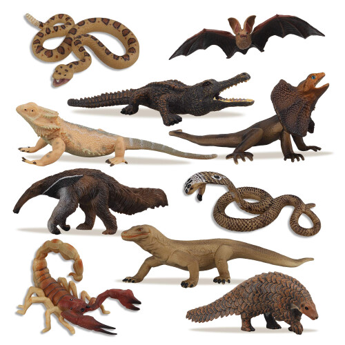 Toymany Σετ Φιγούρες Ερπετών, 12 PCS Ζώα Ερήμου με Κομόντο, Λίγο, Φίδι, Χαμαιλέων