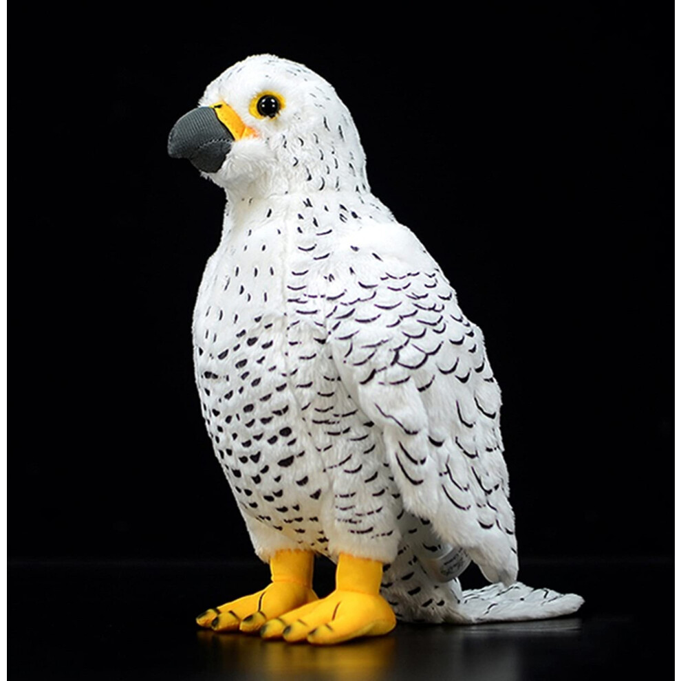 Jouet en peluche de pigeon blanc simul       Pigeon de roche de 25 cm, joli cadeau pour enfants (faucon lance)