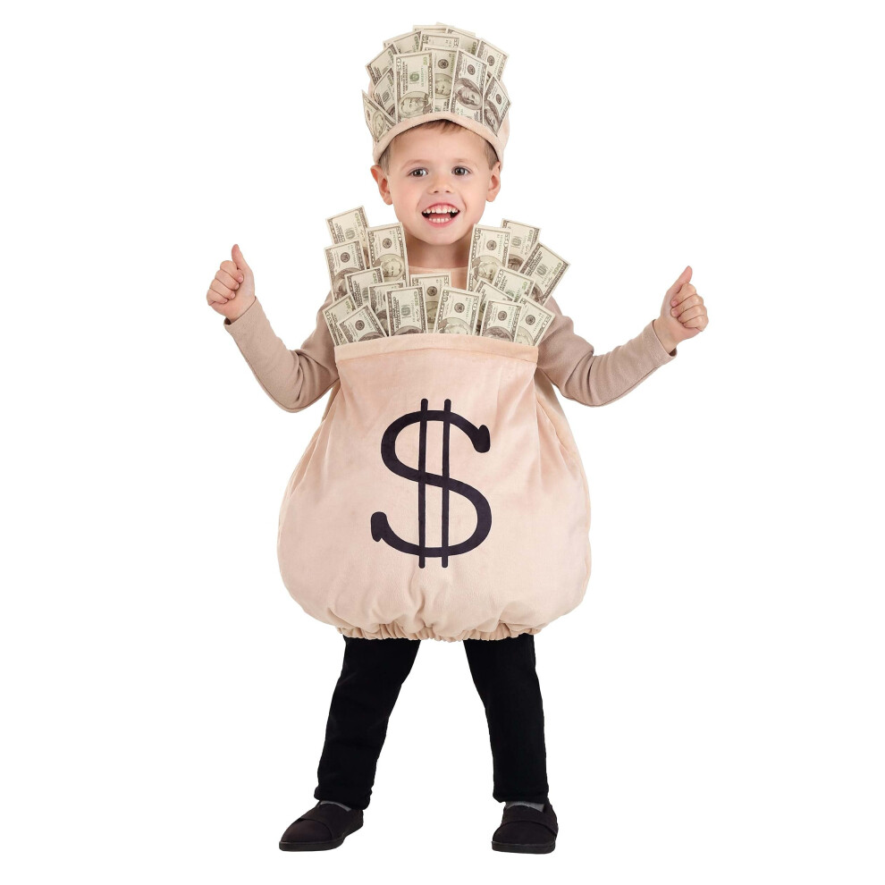 Photos - Fancy Dress Fun Costumes Money Bag Toddler Costume 4T FUN2722TD