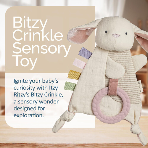 Itzy Ritzy - Bitzy Crinkle Αισθητηριακό Παιχνίδι Κουνελάκι με Ήχο για Μωρά και Νήπια 1