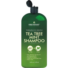 First Botany, Tea Tree Oil Shampoo 16 fl oz - Anti Dandruff, Natural Oil Cleanser for Itchy Scalp - Sulfate, Paraben Free