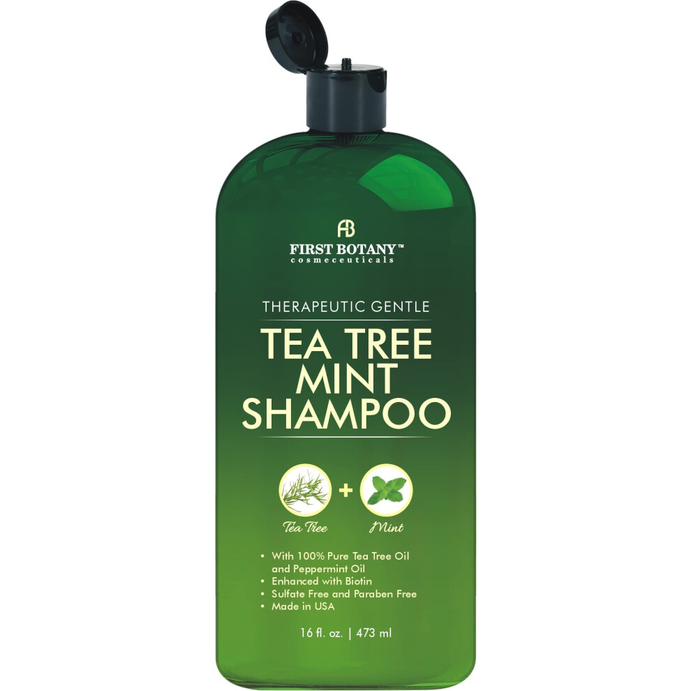 First Botany , Tea Tree Oil Shampoo 16 Fl Oz - Anti Dandruff Shampoo Natural Oil Cleanser For Dry Itchy & Flaky Scalp - Sulfate Free Paraben Free Clean