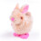 12ks Clockwork Chick Bunny Rabbit Bábika Naťahovacie bábiky 7