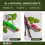 BALMSHOT ajakpol 4 csomag (Minty Combo Variety Pack) 2