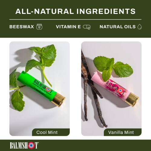 BALMSHOT ajakpol 4 csomag (Minty Combo Variety Pack) 1