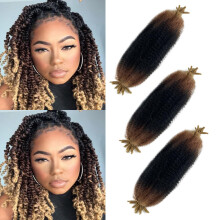 Paraglame Ombre Marley Haar 18 Zoll 3 Farben Vorgefiltertes Afro Twist Haar für weiche Locs