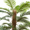 Living And Home 160CM Artificial Palm Tree Potted Plant Home Decoration 4