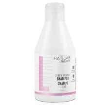 Salerm - Keratin Shampoo - Lisos Hair Lab Shampoo - 300 ml - Controls Hair Frizz - Smooth and Straight Hair - With Heat Protector - Eases Styling