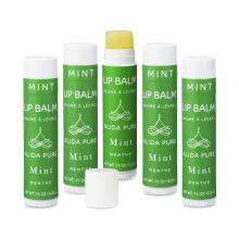 ALIDA PURE Mint Lip Balm Collection Vegan Lip Balm Set Beeswax Free with Avocado Oil Organic Jojoba Oil and Vitamin E Natural Moisturizer for D