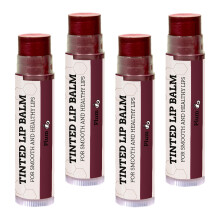 Tinted Lip Balm by Earths Daughter - 4 Pack of Plum Color - Beeswax Coconut Oil Cocoa Butter Vitamin E - Moisturize and Beautify - Paraben Free