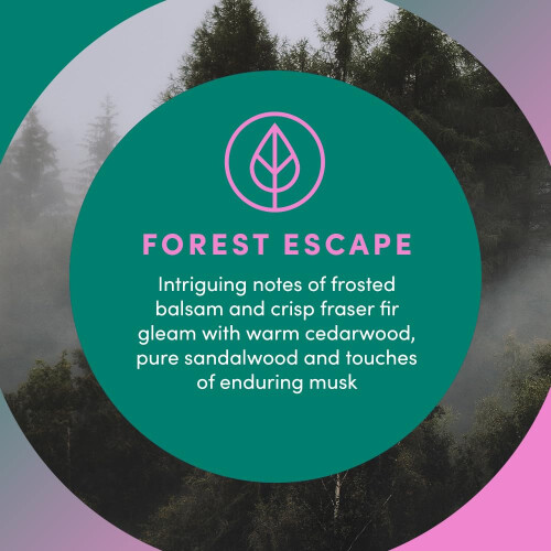 Clean Revolution Υγρό Τζελ Σαπούνι Χεριών 8 Fl Oz με Έλαια (Forest Escape) 1
