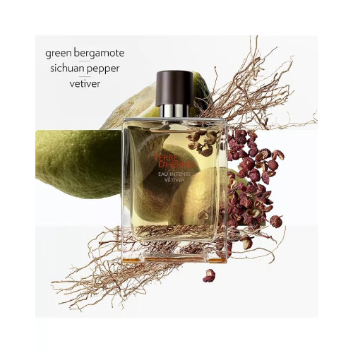 Hermes Hermes Terre D'hermes Eau Intense Vetiver Eau De Parfum Spray ??a ??d?e? 1,6 ?????? 1