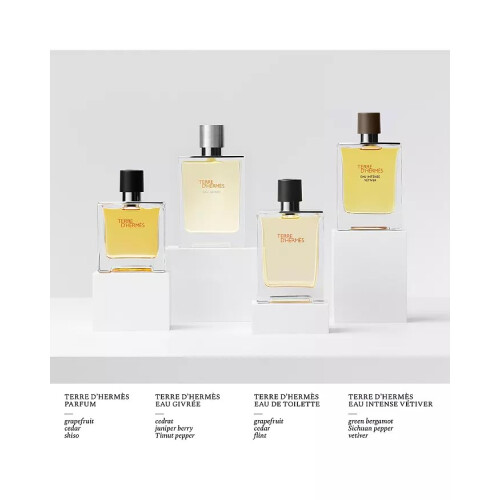 Hermes Hermes Terre D'hermes Eau Intense Vetiver Eau De Parfum Spray ??a ??d?e? 1,6 ?????? 2