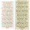 Trader Joe's Tea Tree Tingle Shampoo & Conditioner 16 oz. 3
