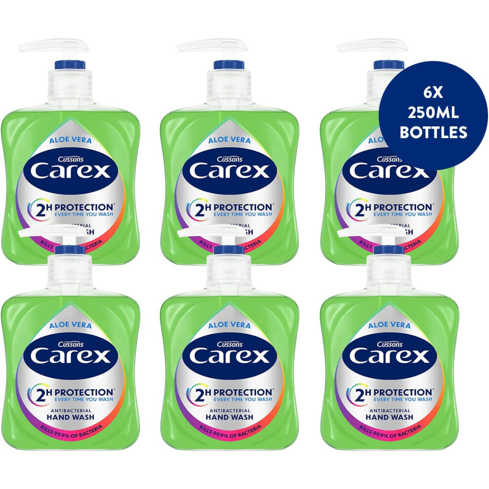 Carex 2 Hour Protection Antibacterial Aloe Vera Hand Wash, Added Natural Moisturisers, Gentle & Protects Hands, Bulk Buy, Pack of 6 x 250ml
