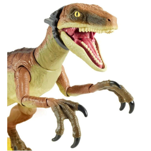 Jurassic World Velociraptor Echo 6" Συλλεκτική Φιγούρα με Κινούμενους Συνδέσμους, Ηλικίες 8+ 2