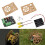 Flame Wheel Robot 2WD Remote Control Robot Kit Support iOS App Control with TT Motor/6~10V Control Board 10