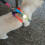 (Blue) 4Modes Multi-function Flashlight as Night Walk Wrist Light Pet Warning Backpack Head Lamp 7