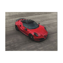 (Alfa Romeo 4C=5413) Canvas Print Framed DIY Install Kit- 16x20" Retro Car Motor Vehicle Auto Ride Sled Wall Art Home Decor Poster for Office Bedroom Living Room Bathroom