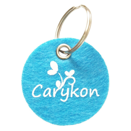Carykon Verfkrabbers voor DIY Kunst, Pakket van 4 2