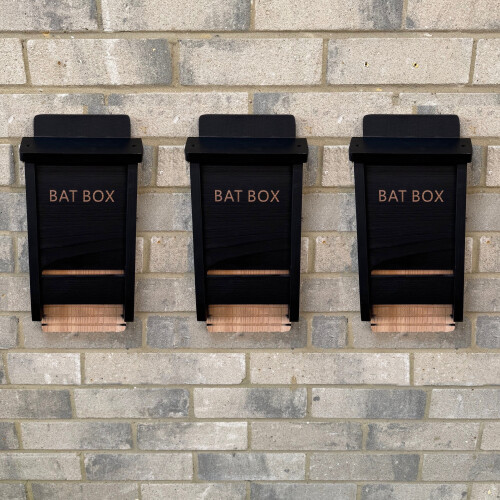 Selections Black Wooden Bat Nesting Roosting Box (Set of 3) 1