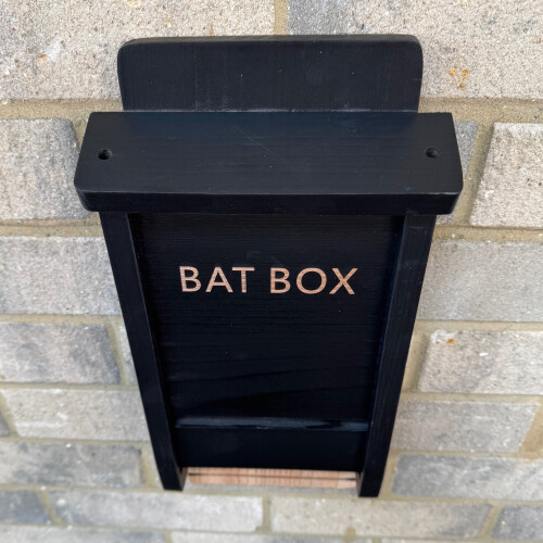Selections Black Wooden Bat Nesting Roosting Box (Set of 3) 2