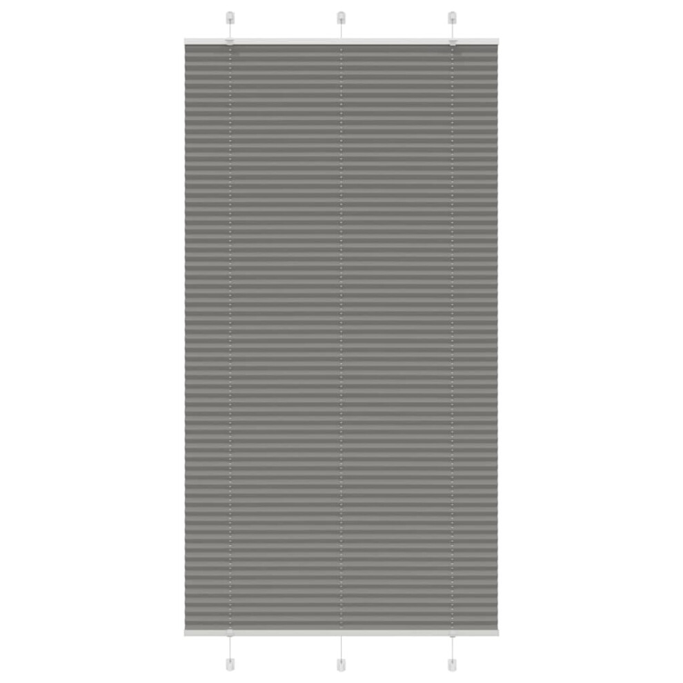 Vidaxl (Anthracite, 105 X 200 Cm) Pleated Blind Anthracite 95X100 Cm Fabric Width 94.4 Cm Polyester