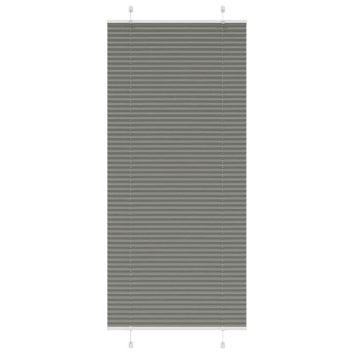 VidaXL vidaXL Plissee Anthrazit 95x200 cm Stoffbreite 94,4 cm Polyester